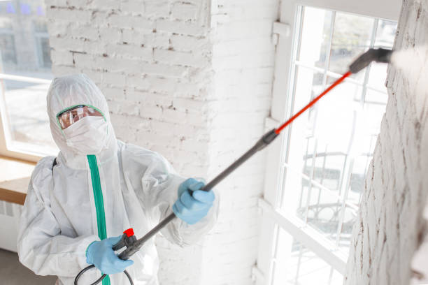 Mold Remediation for Vacation Homes in Jonesboro, GA