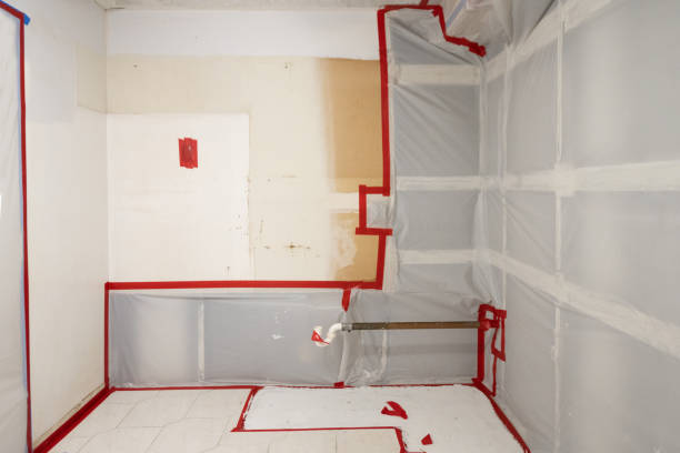 Best Airborne Mold Testing  in Jonesboro, GA