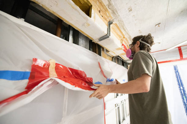 Best Black Mold Removal  in Jonesboro, GA