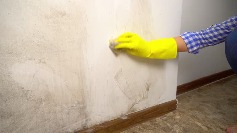 Best Mold-Related Health Consultation  in Jonesboro, GA
