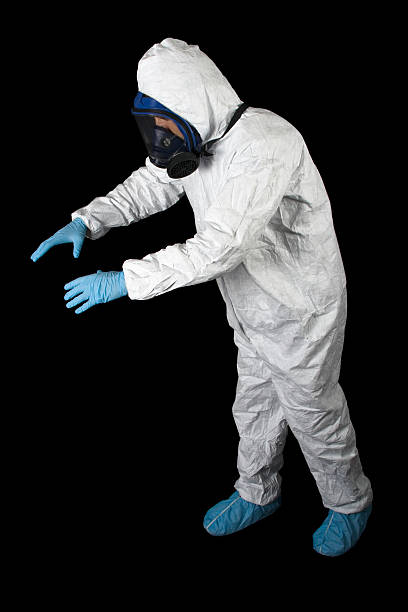 Best Mold Damage Restoration  in Jonesboro, GA