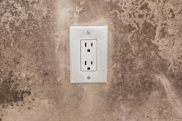 Jonesboro, GA Mold Removal Company
